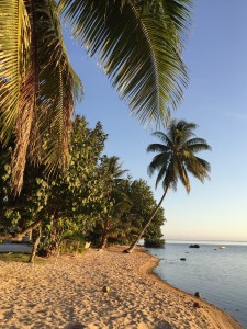 Tahiti_IMG_3051