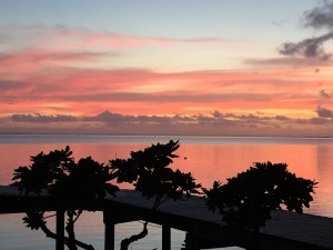 Tahiti_IMG_3140